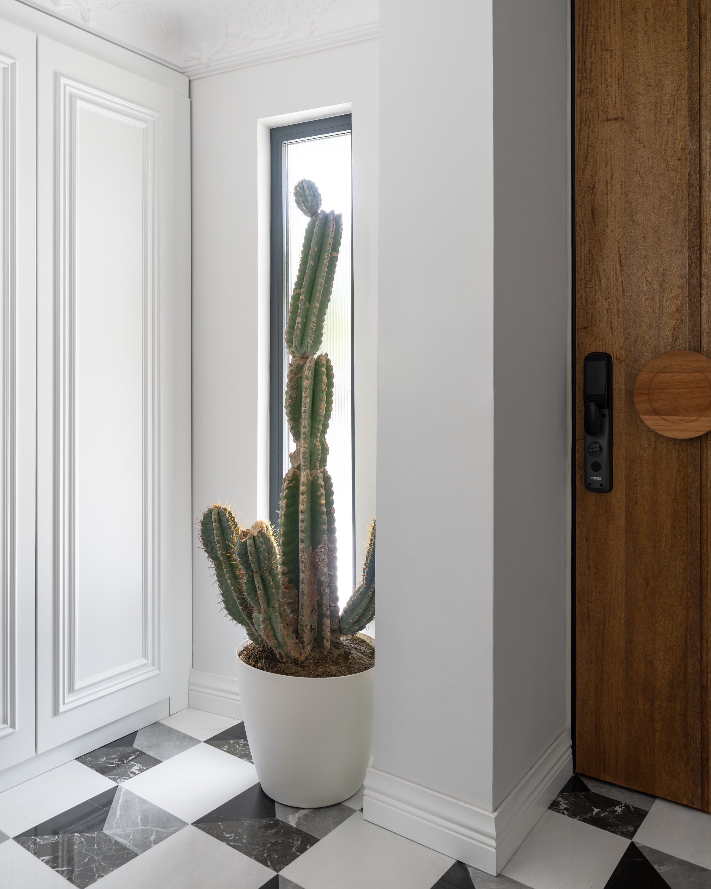 Arkvista — Giriş Kaktüs